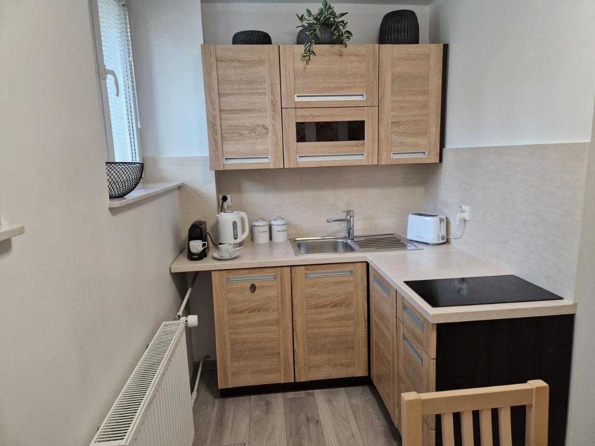 Apartament W Srodmiesciu Sanok Exterior photo